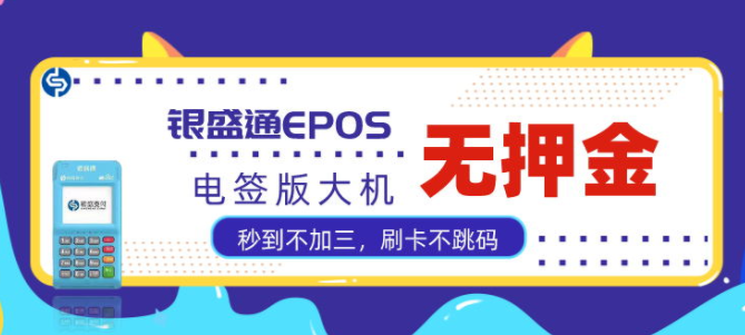 银闪闪电签怎么查询交易记录